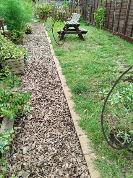 Shrubbery for this side of lawn