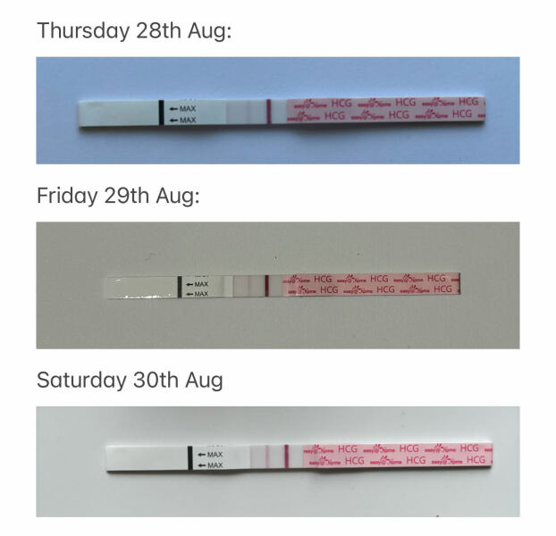 5/6 DPO TTC #2 but also weaning breastfeeding