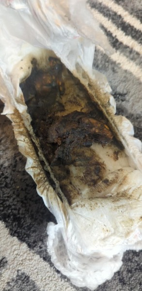 Is this normal poop for a toddler?