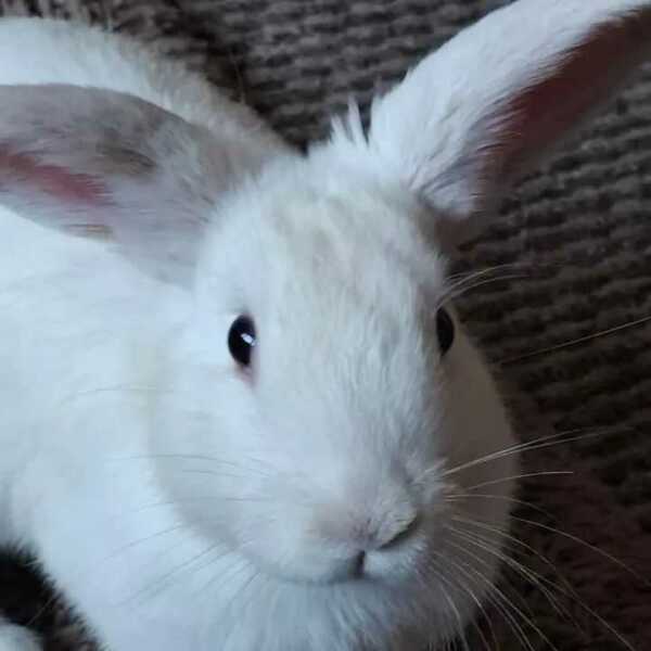 Significant Summer Saving, significantly less spending, super (non) splurging. Frugal folk continue being frugal here. All welcome.