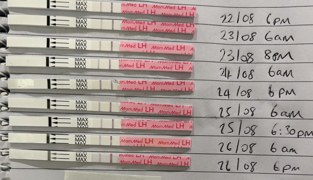 Clear blue ovulation confusion - Blank circle