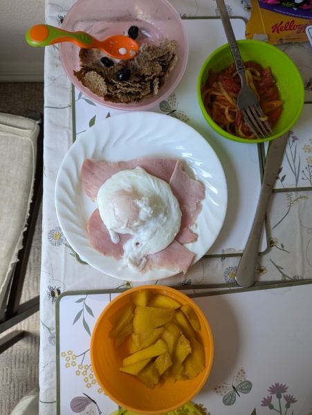 ☀️LOSE IT!☀️Active August 2025☀️