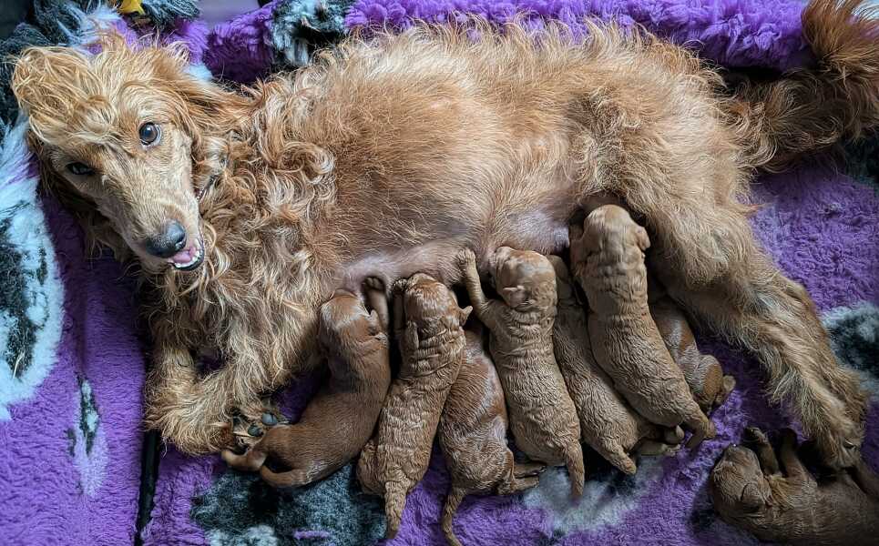 What are you up to today if you have chronic illness?