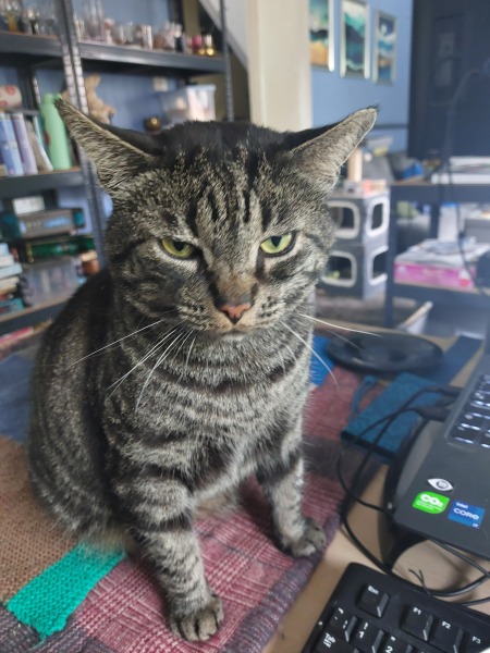 Thread 30 Starmer - Magic Roundabouts