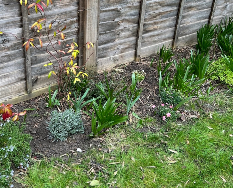 I’m new to gardening, can you come and help me with some questions?
