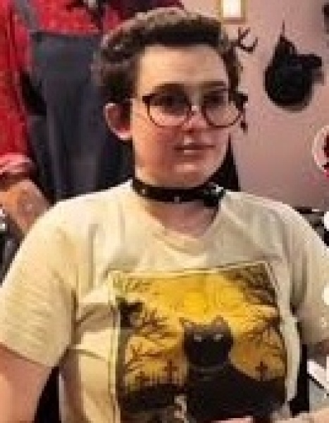 Gender critical viewpoint as explained by a bloke