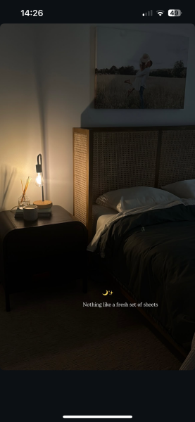 Has anyone seen a headboard like this?