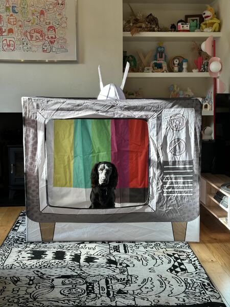 Adolescent Dog Survival Thread - welcome to the teenage wasteland