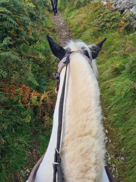 Able to ride horses again