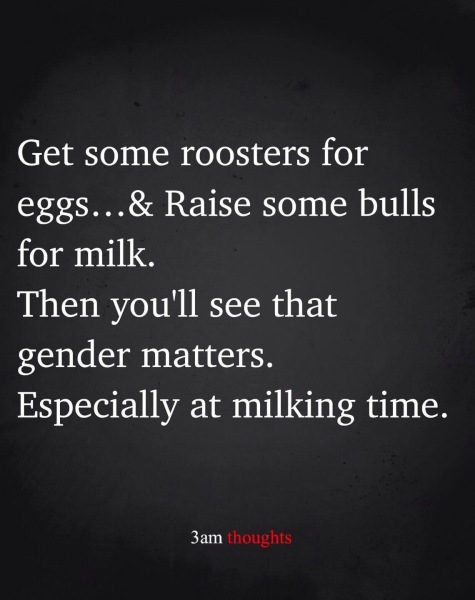 Are the old meanings of the words woman and man redundant?