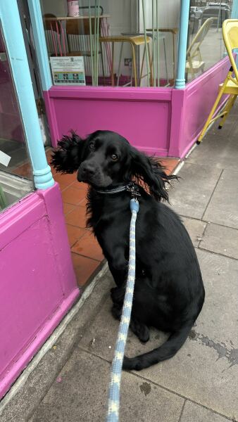 Our Cosmic Autumn Rebellion (Adolescent Support Group)