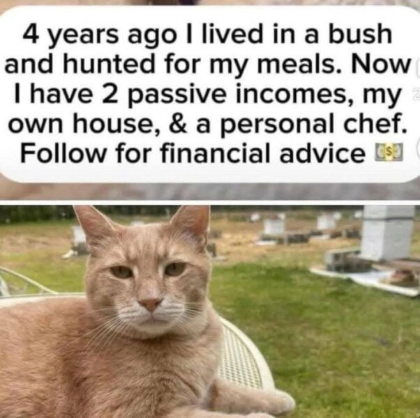 The Bluestocking - holding the line and losing the thread