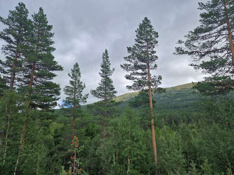 Year round Nigel Slater discussion thread Part 2