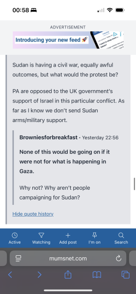 Do the people being arrested for Palestine Action not know about the sledgehammer attack?