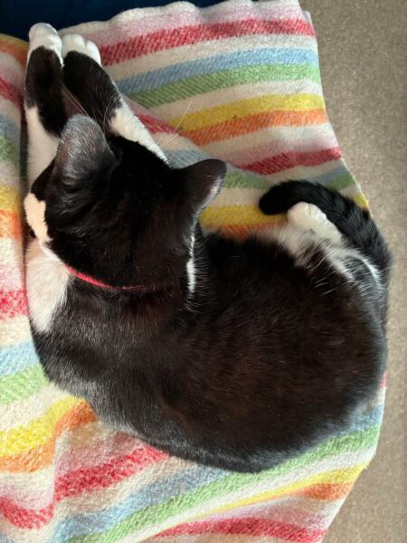 Thread 18 - TalkLair: "That's no moon. It's a space station!"