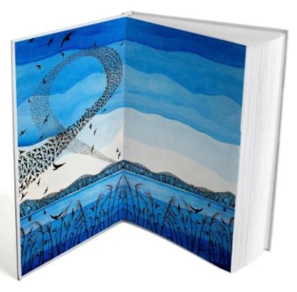 Thread 12: To feel disappointed after reading this in The Observer about the author and her husband from The Salt Path book and film?