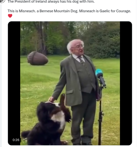 The Bluestocking does a late night flit again