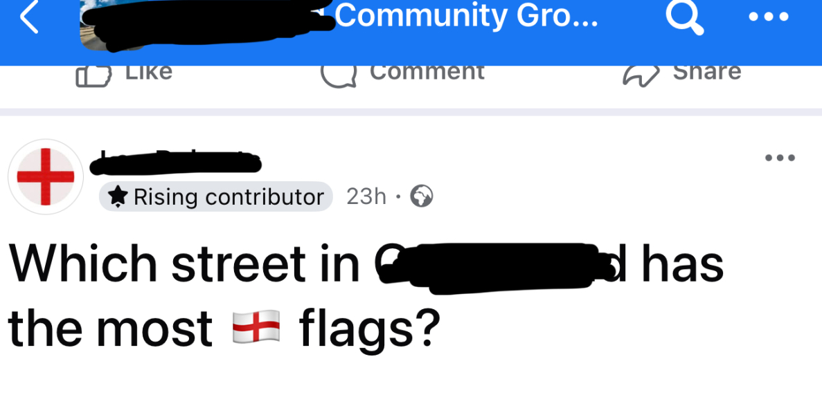 What do you think of the flags?