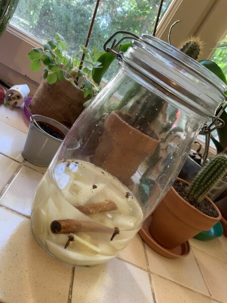 Melting from the heat, yet still Counting down to Christmas 2025 (thread 2)