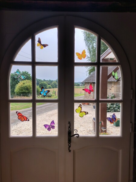 Stopping birds hitting windows