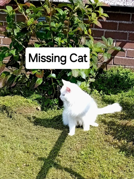 Mounjaro 10st or more to lose - Thread 6