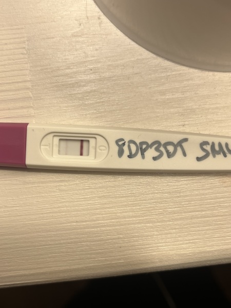 Day 3 transfer success stories