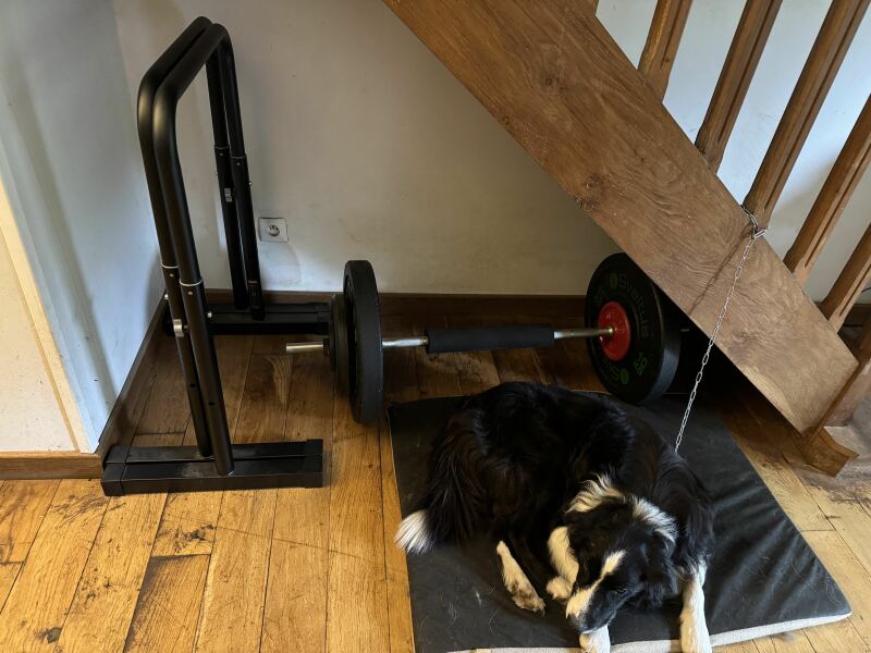 Lifting and getting stronger with Caroline Girvan: 2025