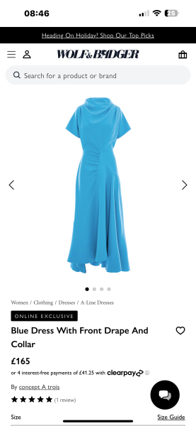 Can anyone recommend a dress a bit like this….