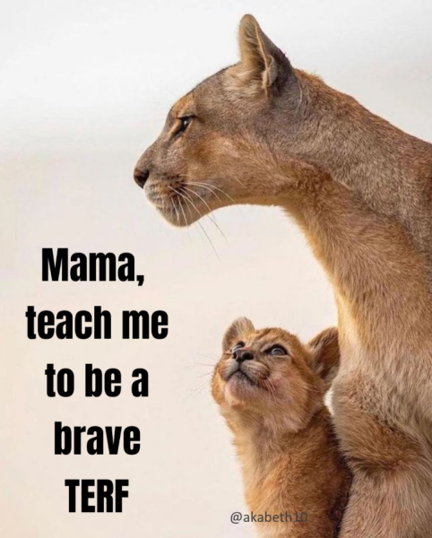 The Bluestocking - holding the line and losing the thread