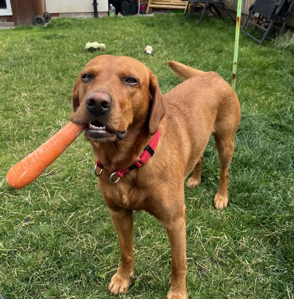 Labour isn't working - Thread 5