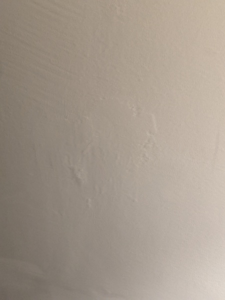 Would walls like this put you off?