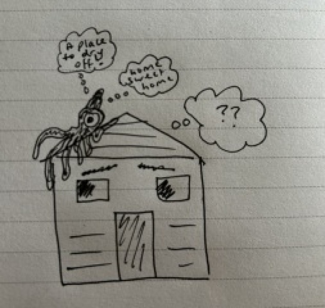 Thread 16: To feel disappointed after reading this in The Observer about the author and her husband from The Salt Path book and film?