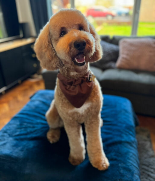 Show me you groom-day pics!