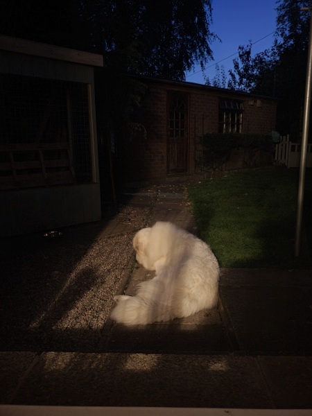 Our Cosmic Autumn Rebellion (Adolescent Support Group)