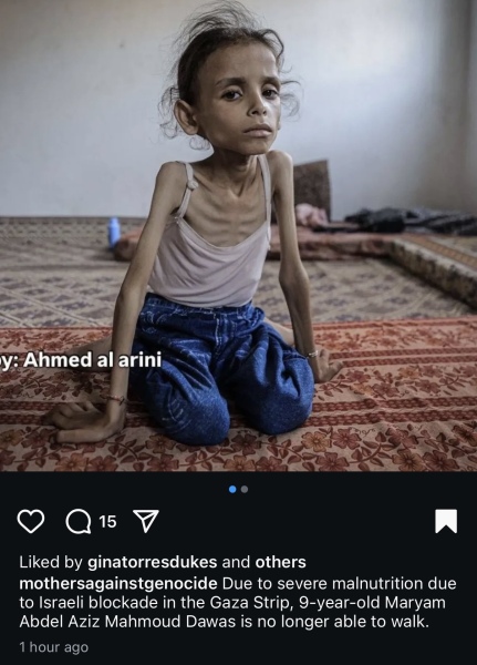 Many pro-Palestinians DO actually support Hamas