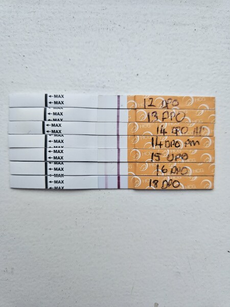 At least we avoided Christmas babies!