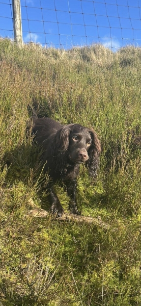 Labour isn't working - Thread 5