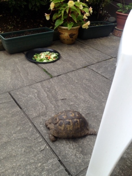 Thread 15: To feel disappointed after reading this in The Observer about the author and her husband from The Salt Path book and film?