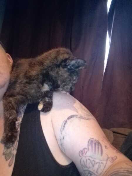 The One after the One where the Excellent Cats posed for a calendar