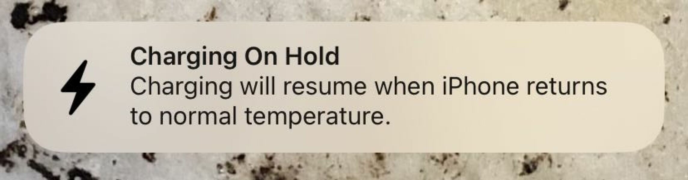 Mn app ( iPhone) not working