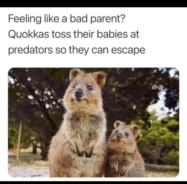 If you're feeling like a shit parent