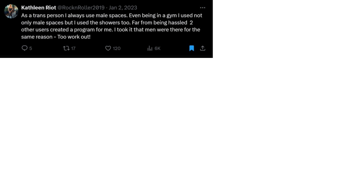 What would you actually do if you saw a transperson in the wrong toilet/changing room for their sex? Thread 2