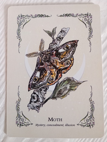 Thread 11: To feel disappointed after reading this in The Observer about the author and her husband from The Salt Path book and film?