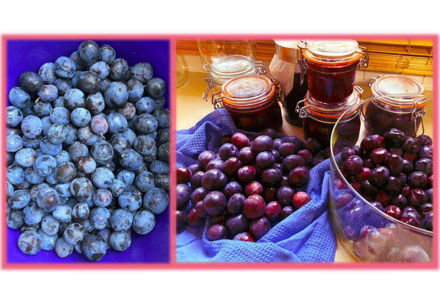 Year round Nigel Slater discussion thread Part 2