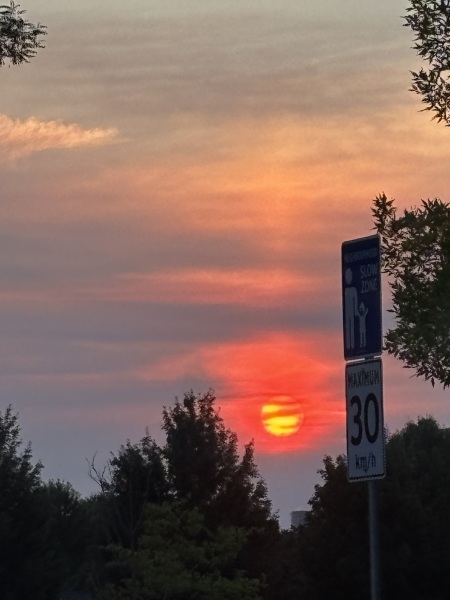 Come and tell us your dull and unexciting news 34: Calmly through the day