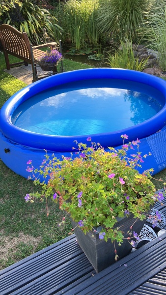 The Bluestocking does a late night flit again