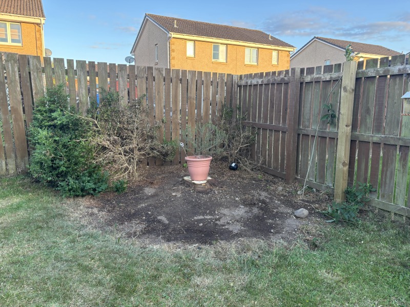 What to do with this space?