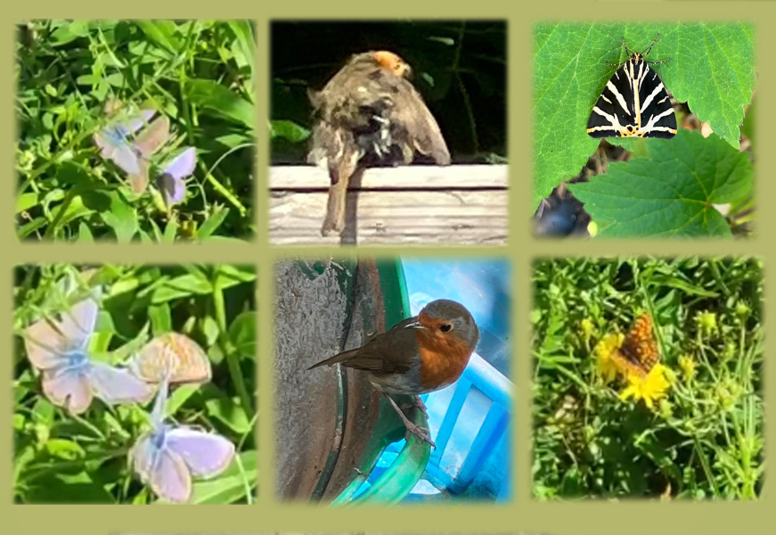 Year round Nigel Slater discussion thread Part 2