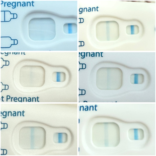 August TTC thread ❤️