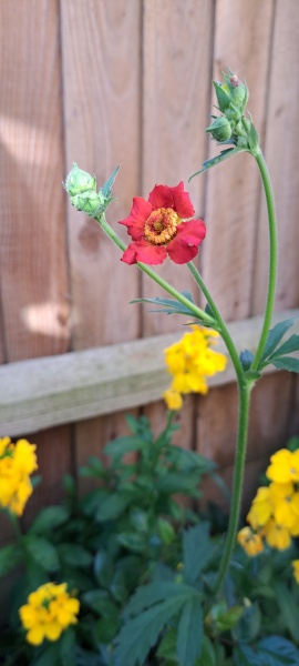 What are these?